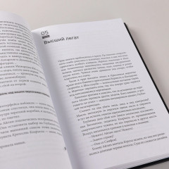 Дисгардиум. Книга 8. Враг Преисподней - Фото 6