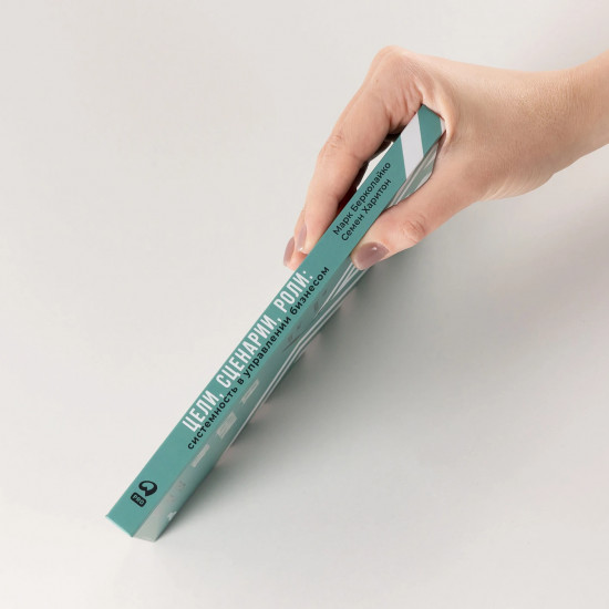 Цели, сценарии, роли. Системность в управлении бизнесом