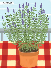 Насекомые. Моя первая книга наклеек - Фото 7