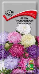 Семена астры пионовидной «Смесь окрасок» - Фото 1