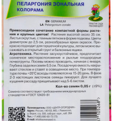 Семена пеларгонии «Колорама зональная» - Фото 1
