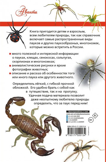Пауки, скорпионы и многоножки России