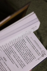 Повелитель тайн. Книга 4 - Фото 11