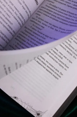 Мой дом ужасов. Книга 1 - Фото 15