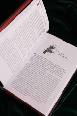 Не сглазь и веди - Фото 13