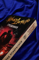 Эффект домино. Грешники - Фото 12