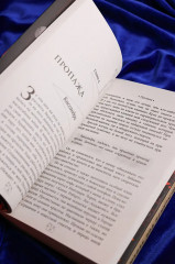 Эффект домино. Грешники - Фото 14