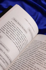 Эффект домино. Грешники - Фото 16