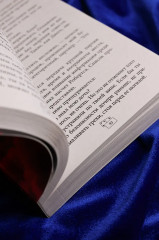 Эффект домино. Грешники - Фото 18