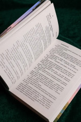 Эльфийский сыр - Фото 10