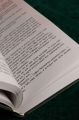 Эльфийский сыр - Фото 11