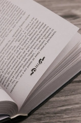 Долг легиона - Фото 8