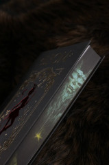 Косиног. История о колдовстве - Фото 7