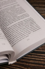 Толмач. Зигзаги судьбы - Фото 7