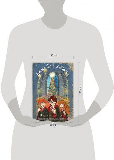 Гарри Поттер и Новый год в Хогвартсе. Подарочный набор