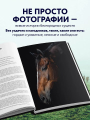 Лошади. Портреты, вдохновленные Рембрандтом. Эксклюзивный фотоальбом - Фото 4