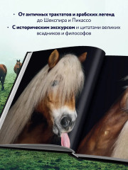 Лошади. Портреты, вдохновленные Рембрандтом. Эксклюзивный фотоальбом - Фото 5