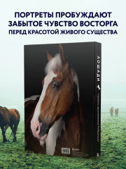 Лошади. Портреты, вдохновленные Рембрандтом. Эксклюзивный фотоальбом - Фото 6