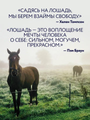 Лошади. Портреты, вдохновленные Рембрандтом. Эксклюзивный фотоальбом - Фото 8