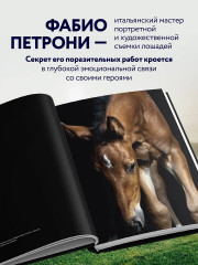 Лошади. Портреты, вдохновленные Рембрандтом. Эксклюзивный фотоальбом - Фото 9