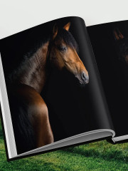 Лошади. Портреты, вдохновленные Рембрандтом. Эксклюзивный фотоальбом - Фото 13