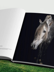 Лошади. Портреты, вдохновленные Рембрандтом. Эксклюзивный фотоальбом - Фото 14