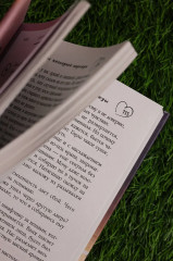 Фол последней надежды - Фото 7