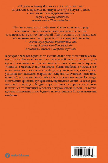 Филин Флако: История самой знаменитой птицы в мире