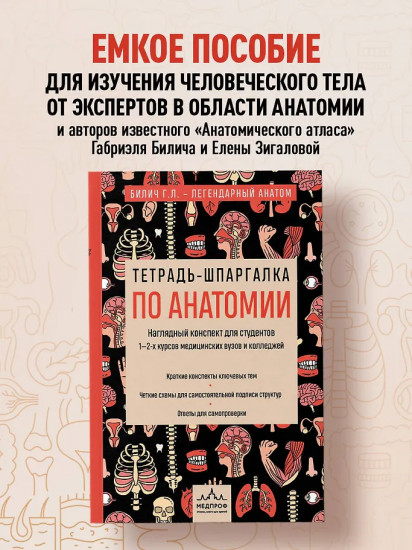 Тетрадь-шпаргалка по анатомии