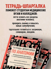 Тетрадь-шпаргалка по анатомии - Фото 5