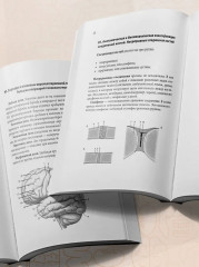 Тетрадь-шпаргалка по анатомии - Фото 6