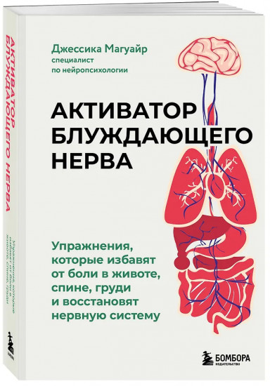 Активатор блуждающего нерва. Упражнения, которые избавят от боли в животе, спине, груди и восстановят нервную систему