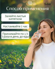 Листья облепихи - Фото 2