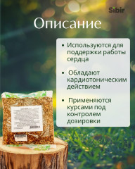 Листья облепихи - Фото 1