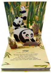 Животные. Pop-up панорамка с крупными буквами - Фото 10