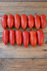 Семена томата «Корнабель F1» - Фото 2