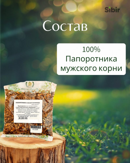 Папоротника мужского корни