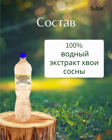 Флорентинная вода (экстракт хвои сосны сибирской)