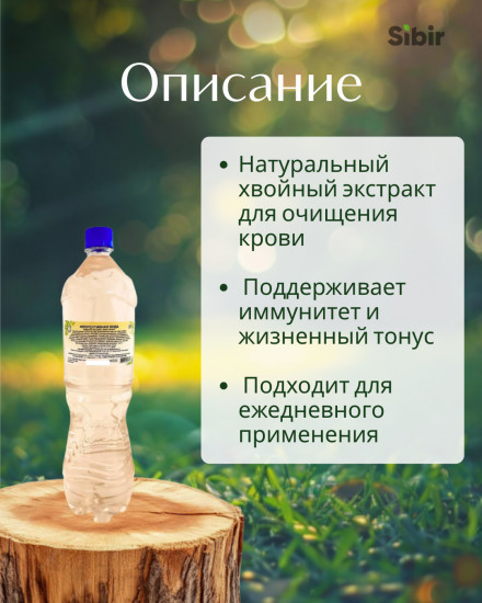 Флорентинная вода (экстракт хвои сосны сибирской)