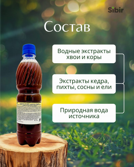 Таежное мумие