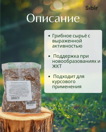 Трутовика плодовое тело