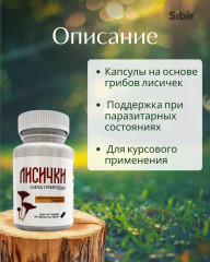 Противопаразитарные грибы в капсулах «Лисички» - Фото 1