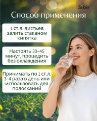 Бадан листья - Фото 2