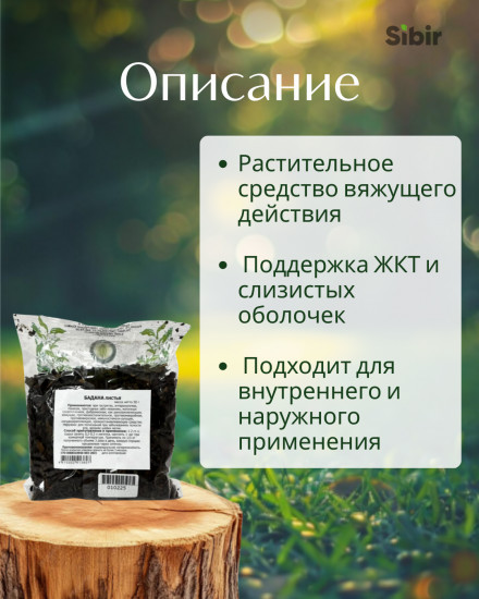 Бадан листья