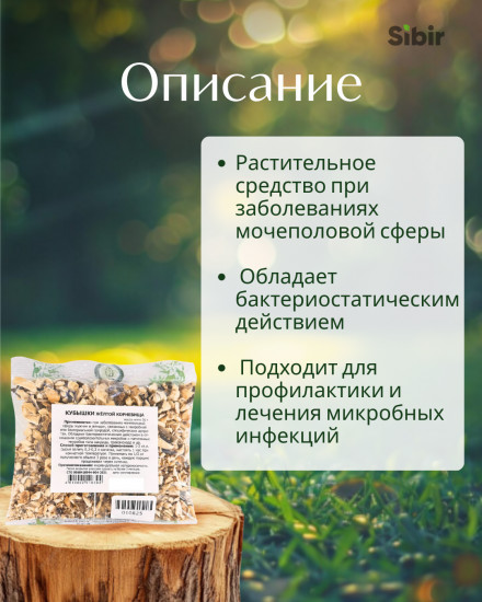 Кубышки желтой корневища