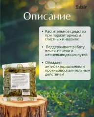 Березы лист майской - Фото 1