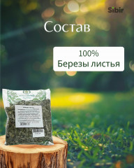 Березы листья - Фото 3