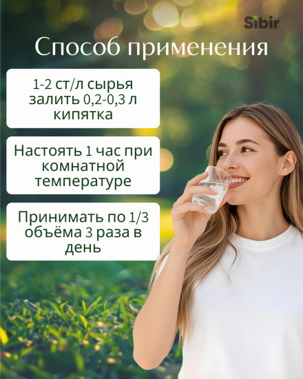 Березы листья