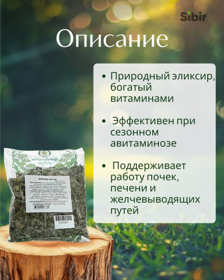 Березы листья