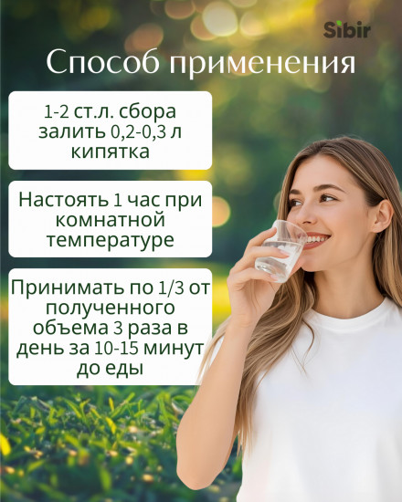 Напиток чайный для предупреждения инсульта по ишемическому типу